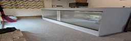 Mixed Breed reptiles for sale: Various snakes and reptiles looking for good homes - Advert 8