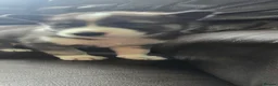 Siberian Husky dogs for sale: Pure Bred Siberian Husky Puppies in Rhyl - Advert 6