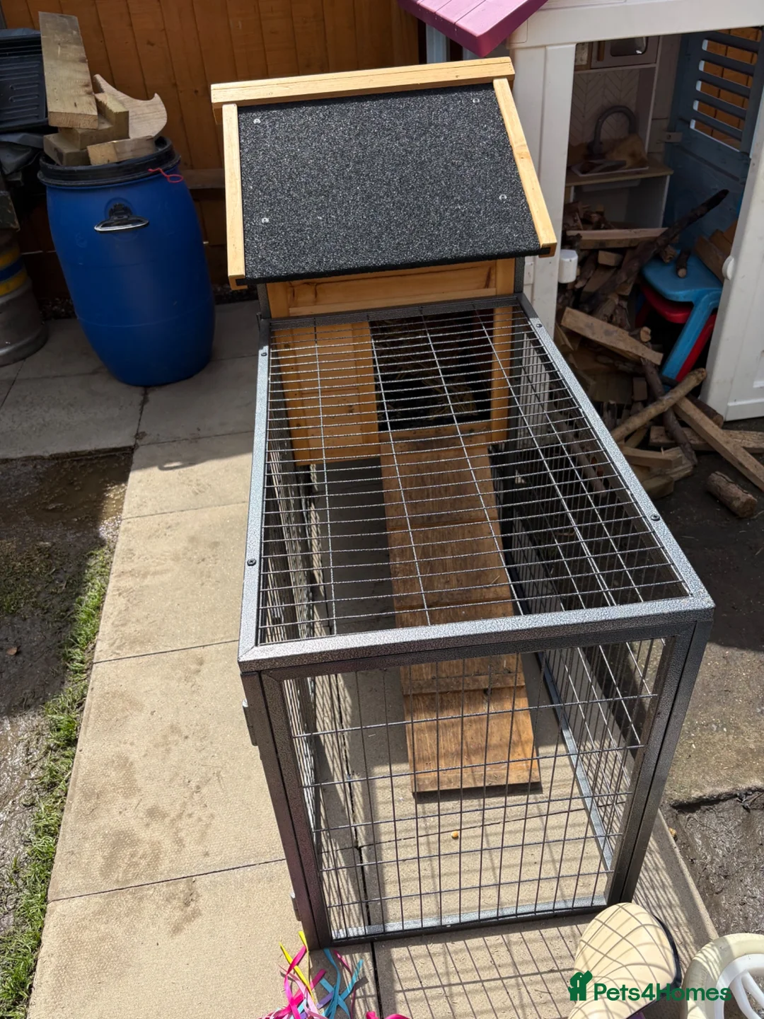 Mixed Breed rabbits for sale: Cage Rabbit/ hens/ any animal outside run  - Advert 8