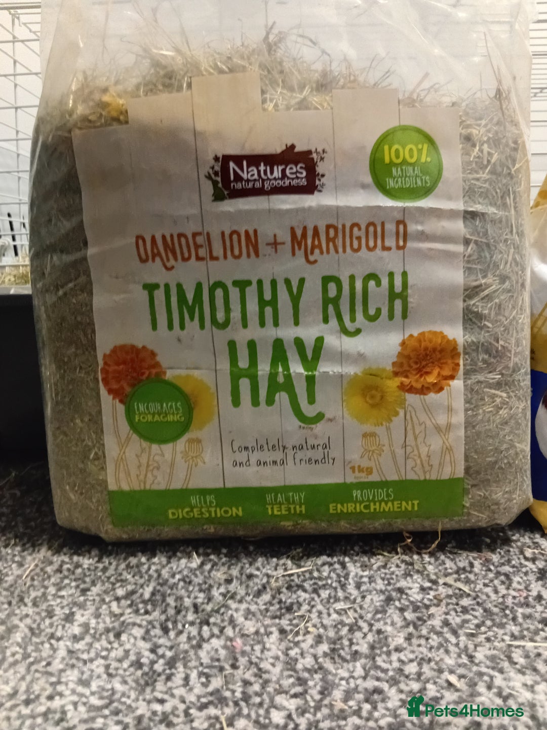 Guinea Pig rodents for sale: 2 guinea pigs and full set up to a loving home - Advert 8