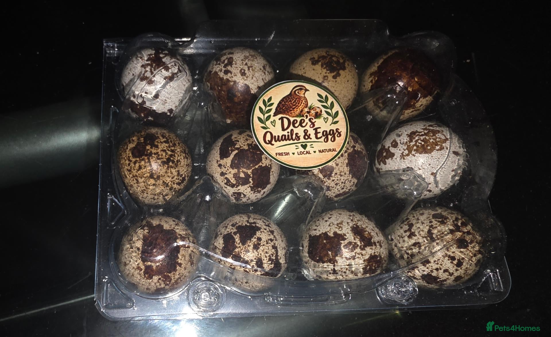 Quail poultry Quail eggs and quail chicks  - Advert 1