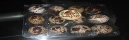 Quail poultry for sale: Quail eggs and quail chicks  - Advert 1