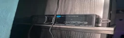 Boa Snake reptiles for sale: Brazilian Rainbow Boa & Viv - Advert 7