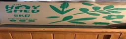 Guinea Pig rodents for sale: 2 Male guinea pigs (plus entire setup) - Advert 4