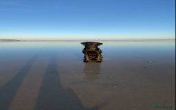 Labrador Retriever dogs for stud: K.C. Black Labrador for Stud! - Advert 1