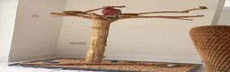 Cockatoo birds for sale: ***Deposit secured*** Silly Tame Galah Cockatoo  - Advert 1