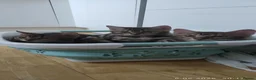 Bengal cats for sale: Stunning Bengal kittens for sale in Rugby - Advert 25