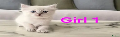 Girl 1