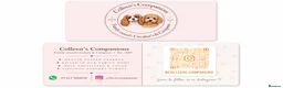 Cavalier King Charles Spaniel dogs for sale: Waiting list KC & extensively Health tested - Advert 7