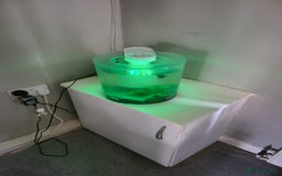 Bettas fish for sale: Cylinder tank, accessories and betta fish - Image 7