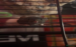 Rat rodents for sale: 2x female dumbo rats  - Image 4