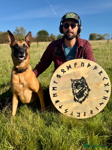 Gallery Image {{count}}