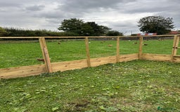 Chickens poultry for sale: Chicken Coops - excellent quality - British Made - Image 17
