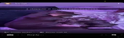 Miniature Dachshund dogs for stud: Frank the stud  - Advert 2