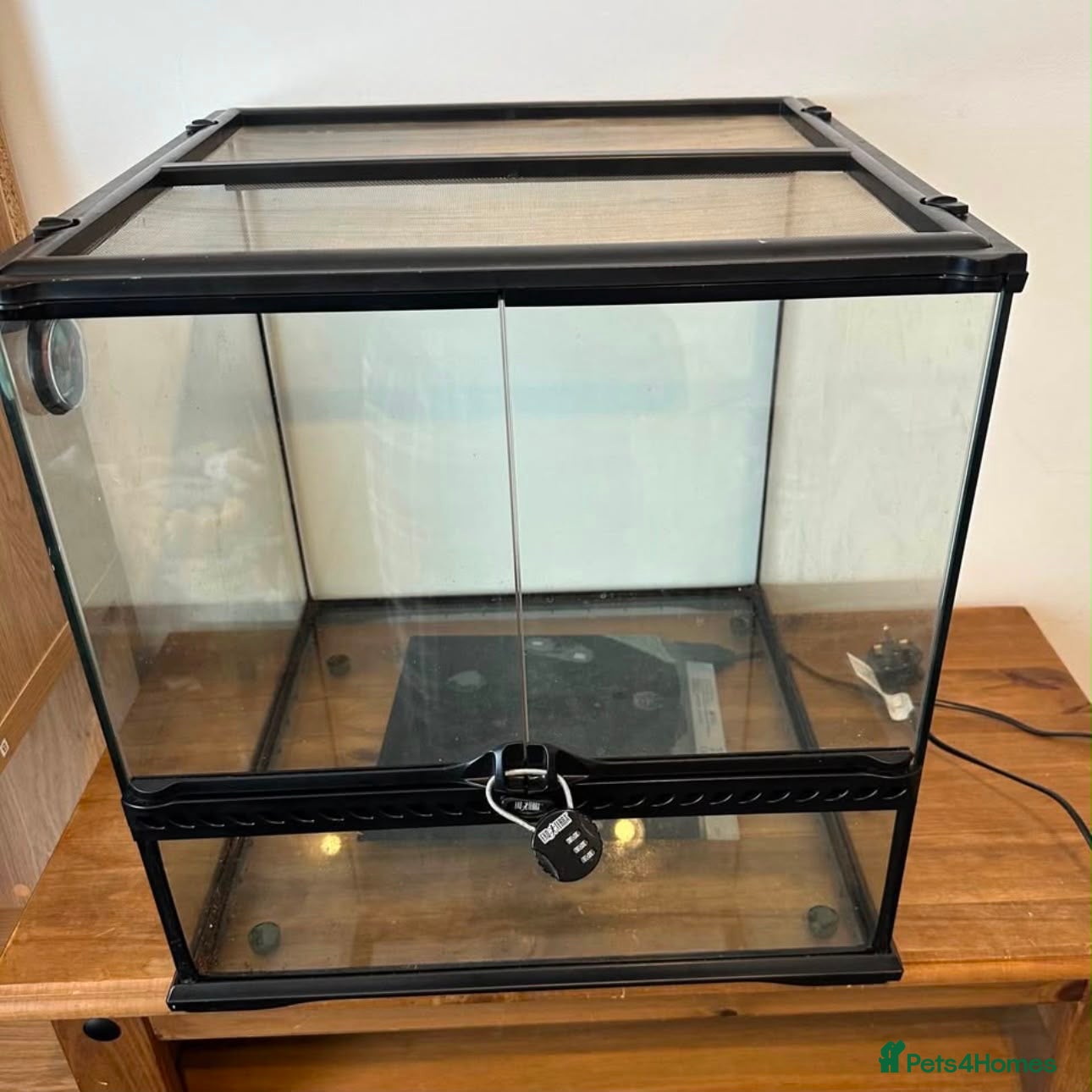 Frog reptiles Terrarium Tank - Advert 19