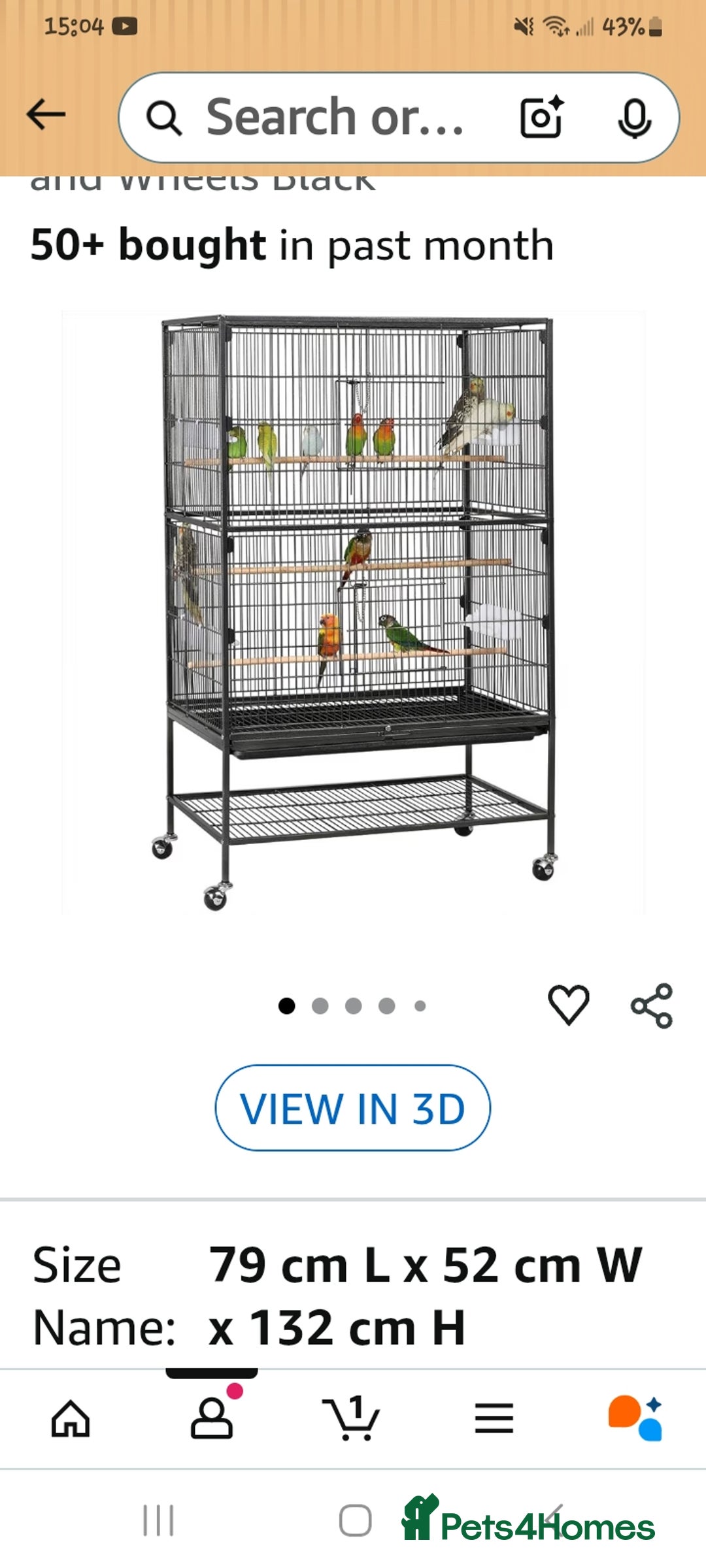 Parakeets birds for sale: A quaker parrot and kakariki  - Advert 3