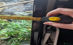 Chameleon reptiles for sale: Large betta terra terrarium with veiled chameleon  - Image 5