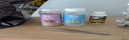 Bearded Dragon reptiles for sale: Bearded Dragon and Full set up in Walsall - Advert 10