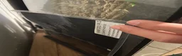 Gecko reptiles for sale: Crested gecko and full set up  in Chelmsford - Advert 4