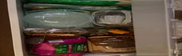 Hamster rodents for sale: Roborovski dwarf hamster  in Nottingham - Advert 2