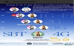 Bengal cats for sale: Bengal Adolescent & Young Adult Entire Males - Image 12