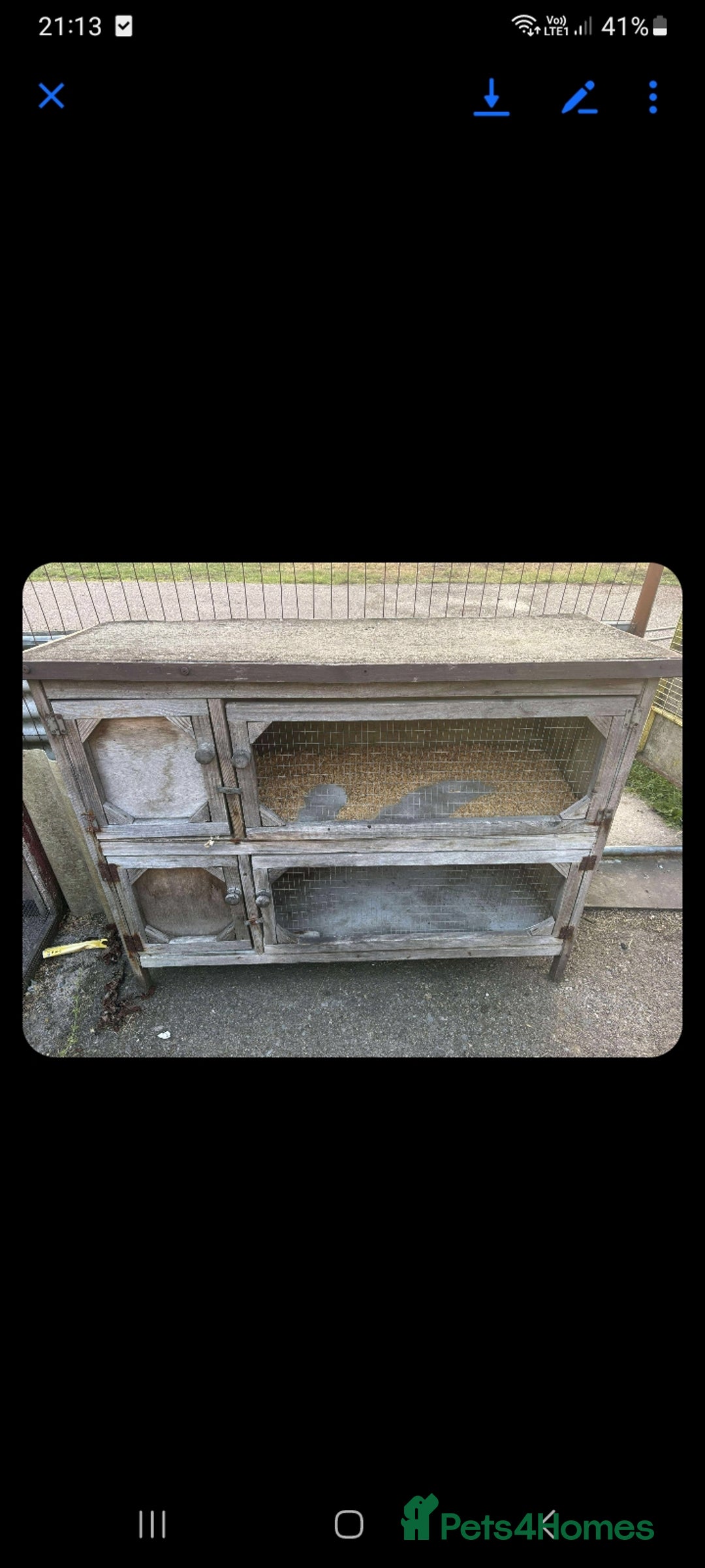 Guinea Pig rodents for sale: Male and female Guinea pig's  - Image 8
