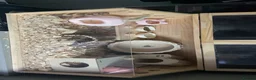 Mouse rodents for sale: 3 Fancy Mice For Sale - Advert 5
