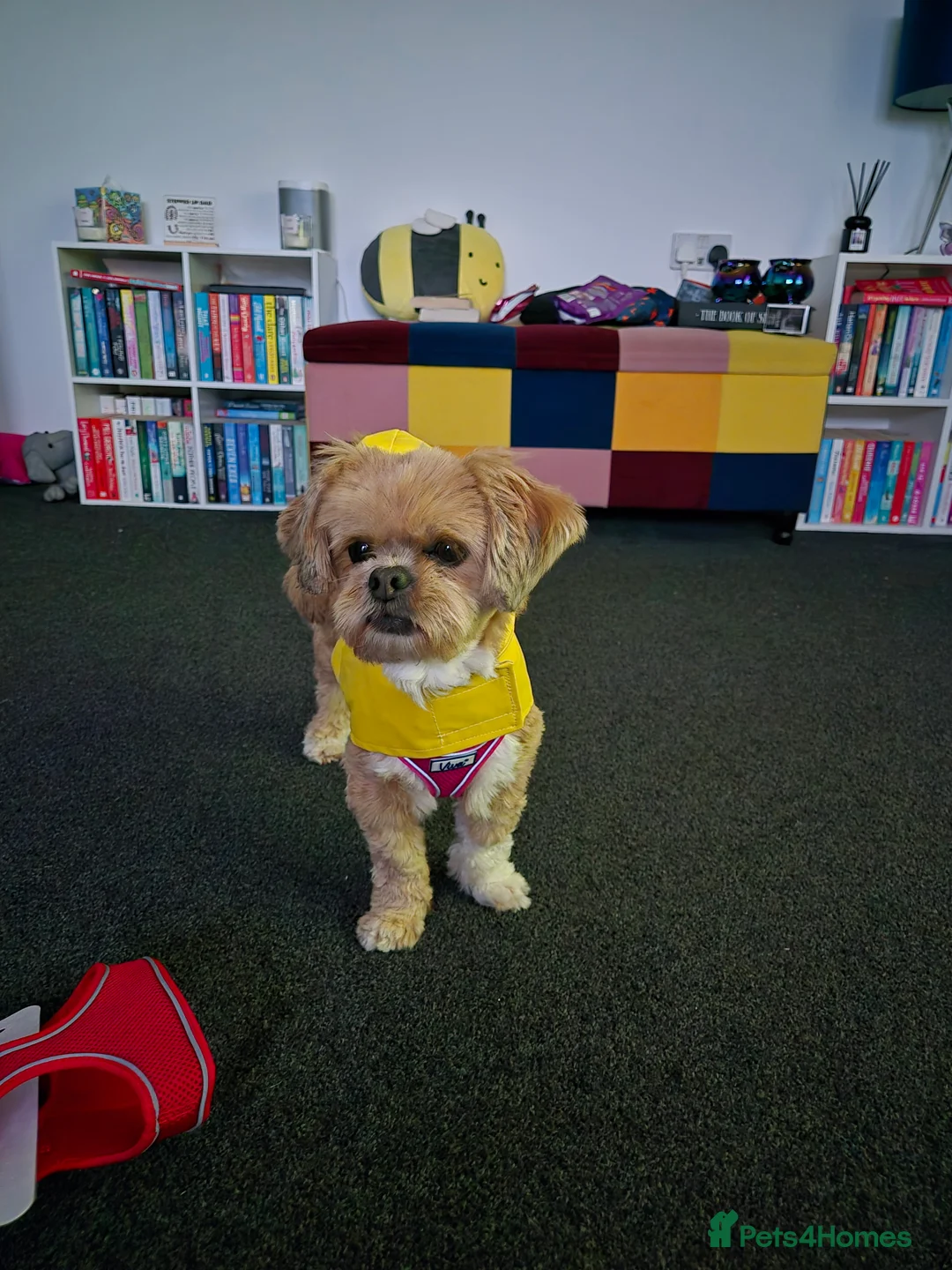 Gallery Image {{count}}