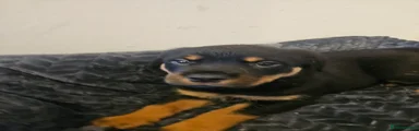 Boy 2 