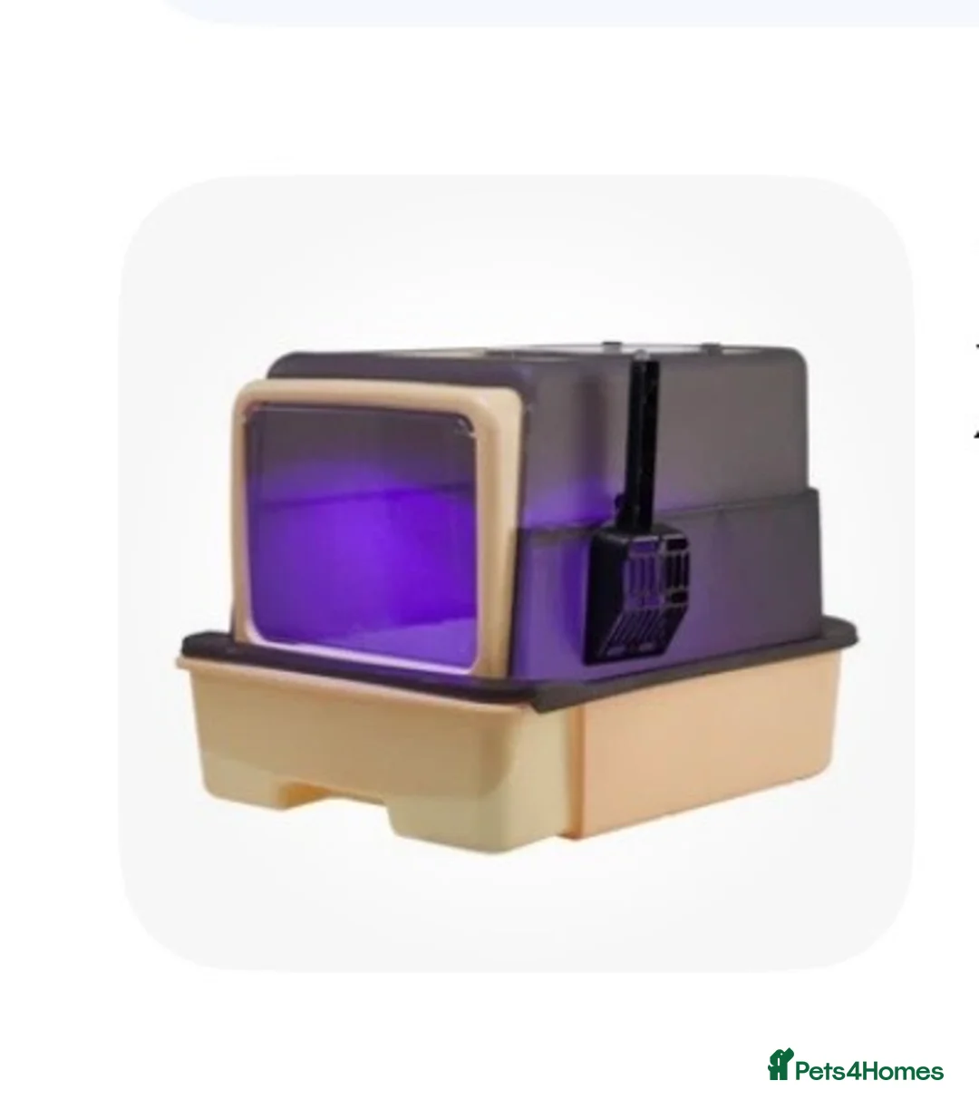 Mixed Breed cats for sale: Cute and cuddly kitten in Stoke-on-Trent - Advert 2