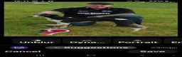 Whippet dogs for sale: whippet pups in Tredegar - Advert 21