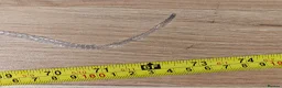 Mixed Breed invertebrates for sale: Red tail racer  rat snake in Bristol - Advert 6
