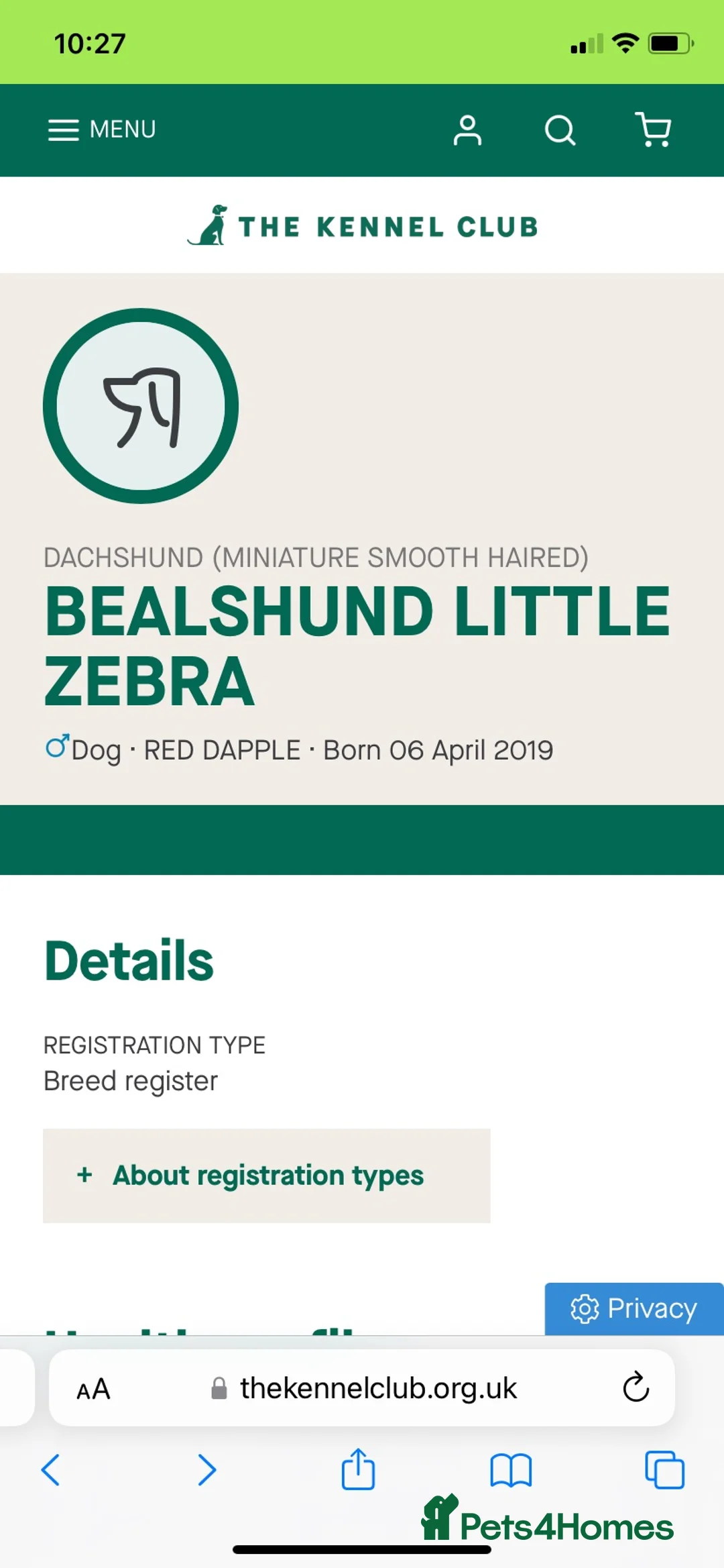 Dachshund dogs for stud: Kc reg proven mini dashound stud dog - Advert 6