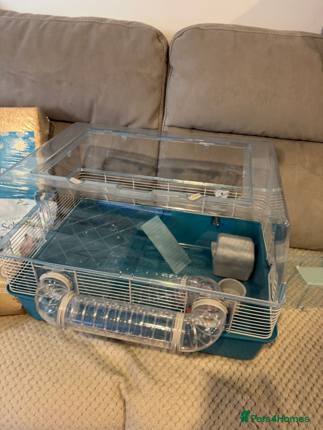 Hamster rodents for sale: Hamster cage set up with everything u need - Image 4