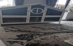 Netherland Dwarf rabbits for sale: 1 male (neutered) 1 female Netherland dwarf rabbit - Advert 3