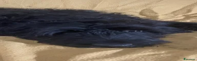 Sproodle 2