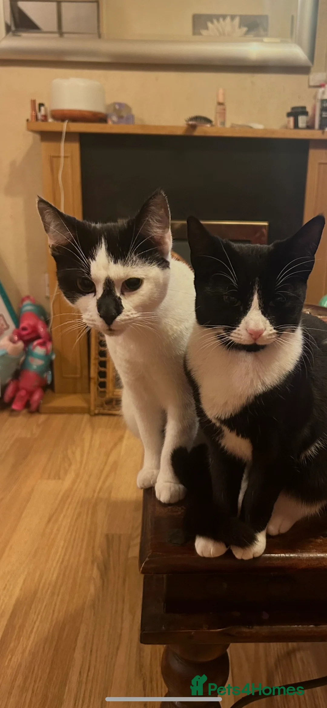 Gallery Image {{count}}