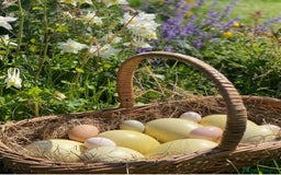 Chickens poultry for sale: Hatching eggs, Chicks & Ducklings - Image 19