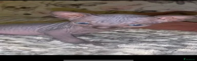 Sphynx pink 