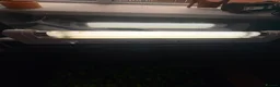 Leopard Gecko reptiles for sale: Female leopard gecko and setup  in Mold - Advert 8
