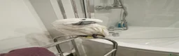 Cockatoo birds for sale: UMBRELLA COCKATOO OWNER REQUIRED –  🦜 in Worksop - Advert 2