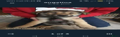 Shepsky 2