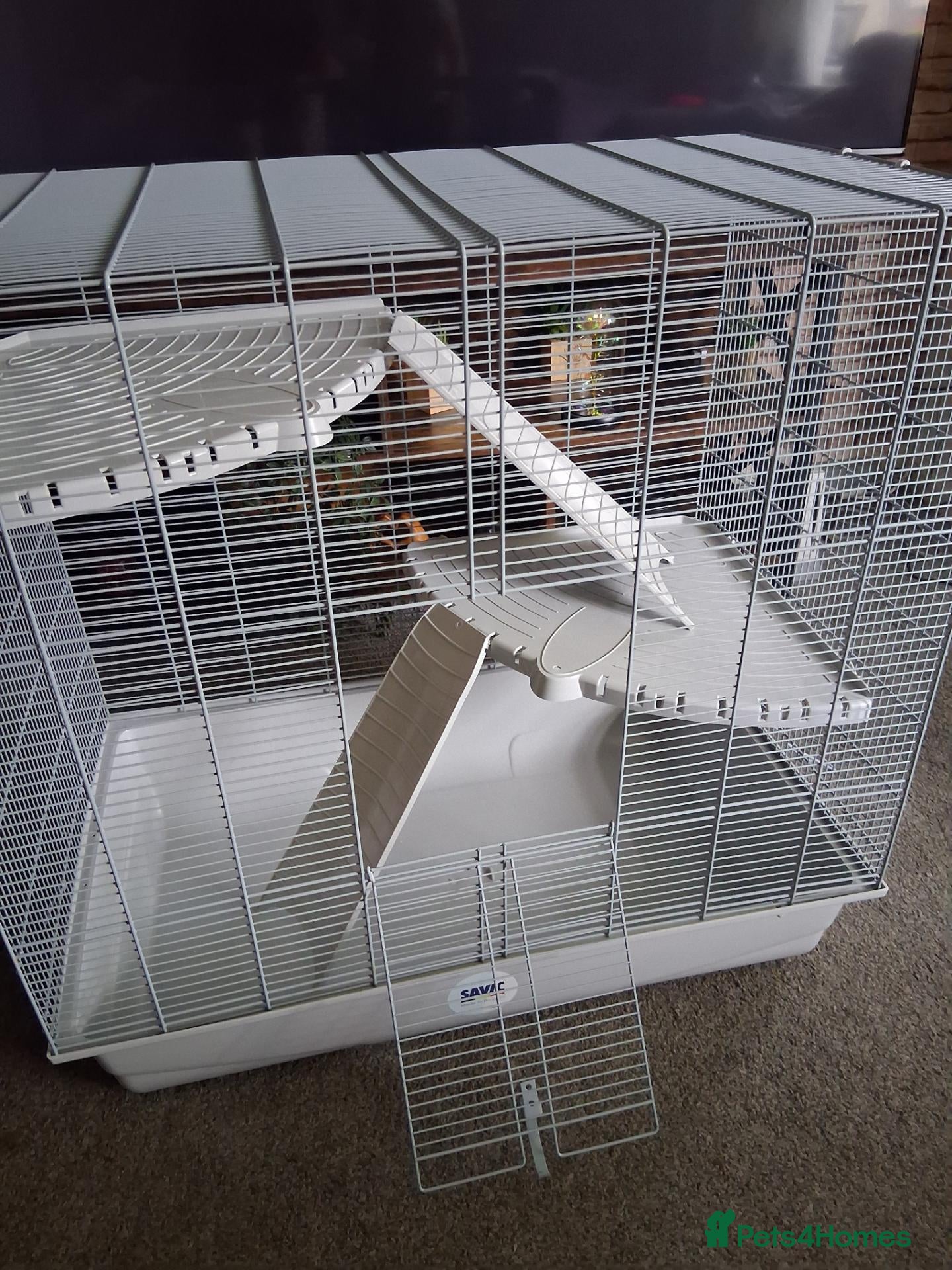 Rat rodents Rat/Hamster cage  - Advert 14