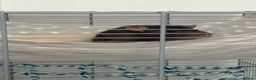 Rat rodents for sale: Rehoming for two male rats  in London - Advert 8