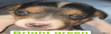 Gone