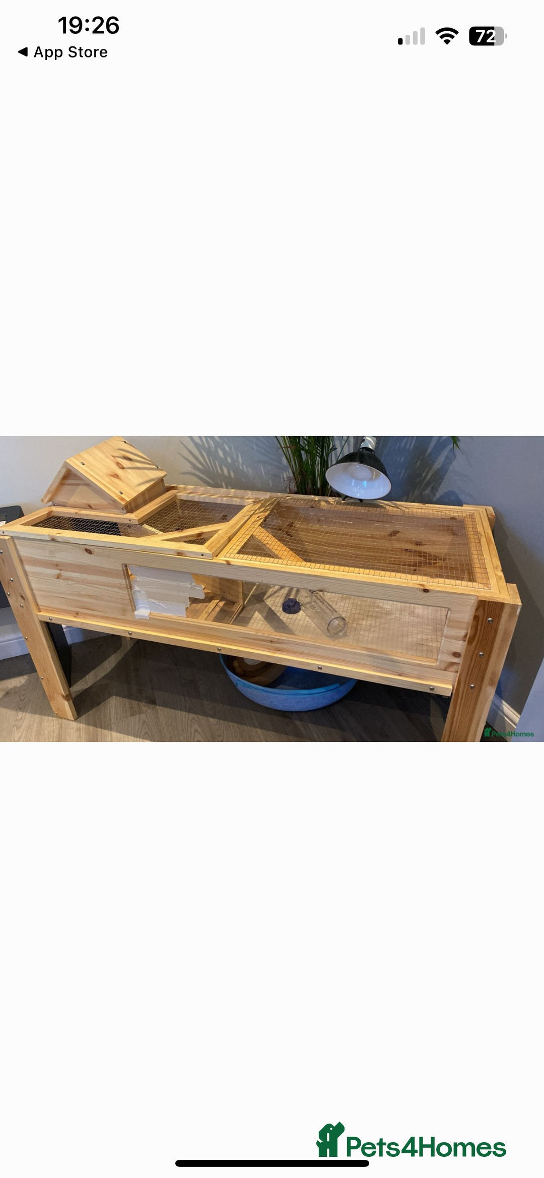 Tortoise reptiles for sale: 8 year old horsefield tortoise with tortoise table - Advert 4