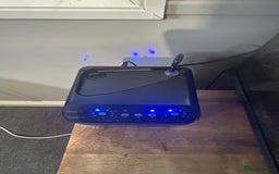 Gecko reptiles for sale: 3 mixed gold dust day geckos & 2 poison dart frogs - Advert 7