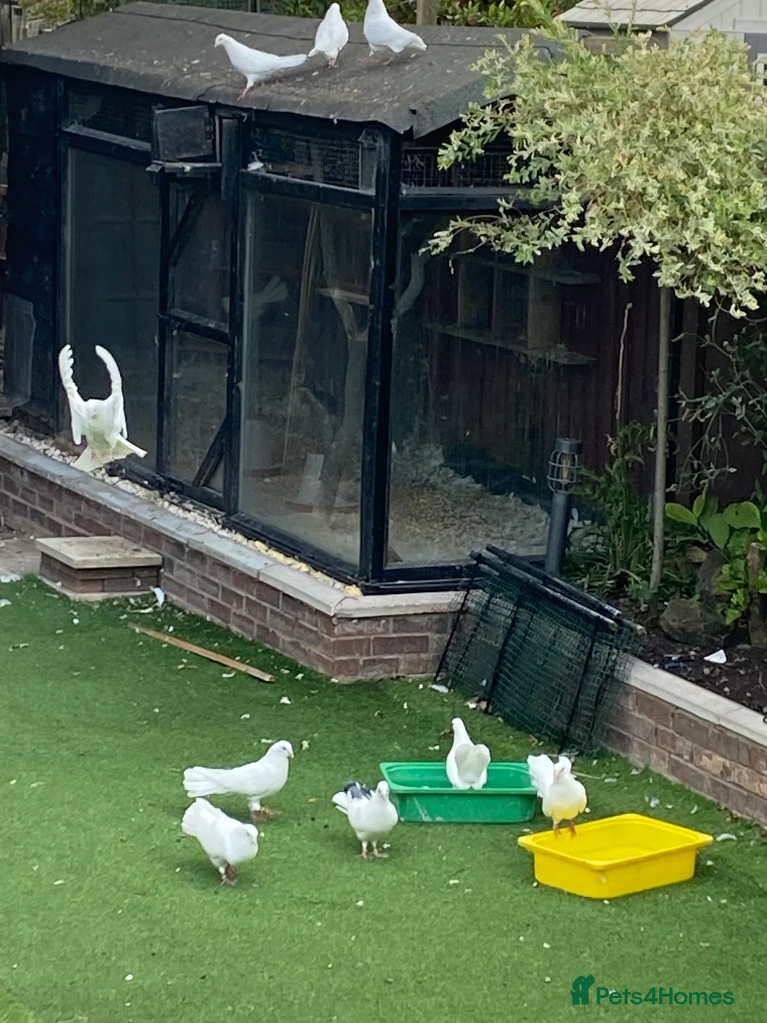 Gallery Image {{count}}