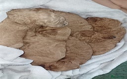 Cockapoo dogs for sale: Beautiful cockapoo puppies  - Image 13