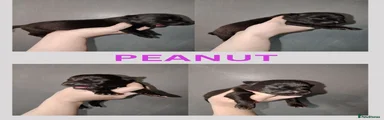 Peanut 